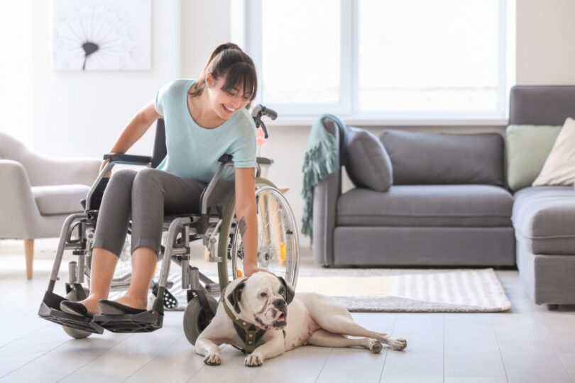 A young woman in a wheelchair petting her service dog that is lying on the floor. Behind her is a living room.