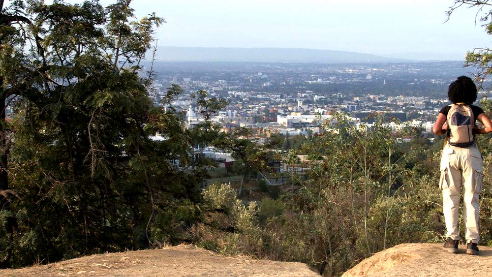 trending in Los Angeles