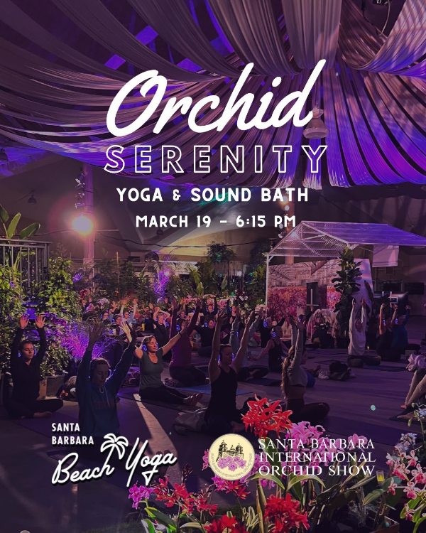 Orchid Serenity – Yoga & Soundbath Orchid Serenity – Yoga & Soundbath