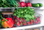 A refrigerator contains fresh produce including cilantro bunches, red bell peppers, strawberries, and cucumbers.