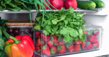 A refrigerator contains fresh produce including cilantro bunches, red bell peppers, strawberries, and cucumbers.