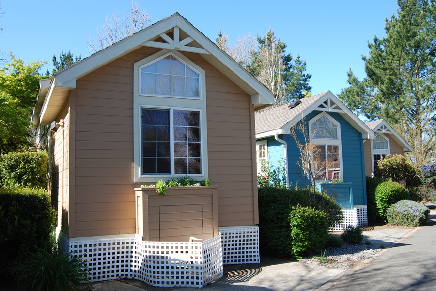Three small colorful cottages with large front windows line a quiet path, surrounded by trees and neatly trimmed bushes.