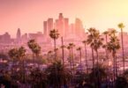 A view of downtown Los Angeles on a hazy day with multiple palm trees, houses, and the sun shining on the right.