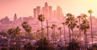 A view of downtown Los Angeles on a hazy day with multiple palm trees, houses, and the sun shining on the right.