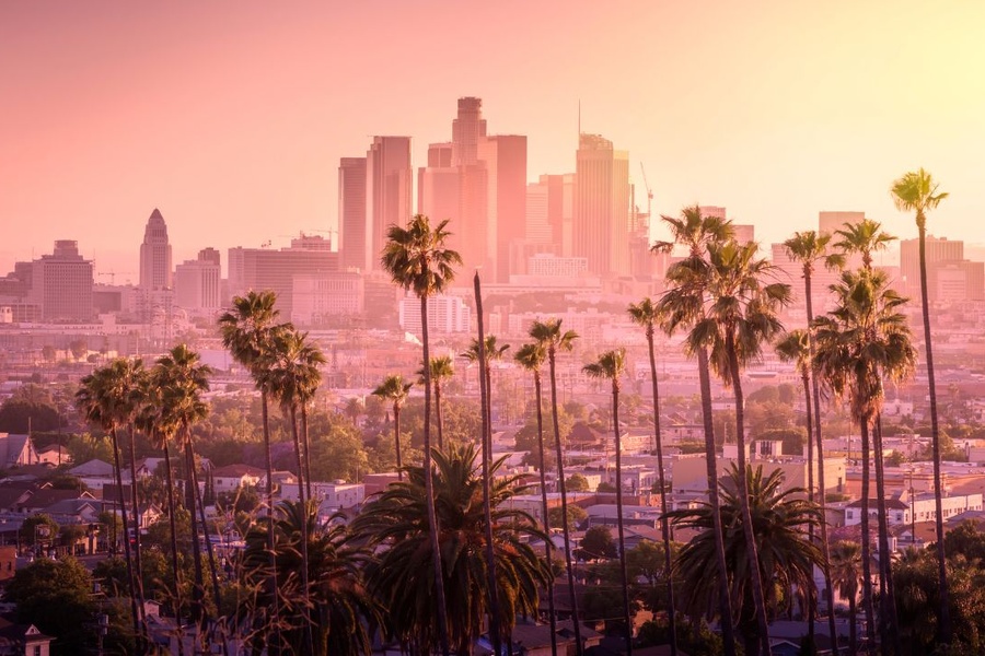 A view of downtown Los Angeles on a hazy day with multiple palm trees, houses, and the sun shining on the right.