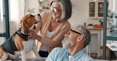 An older couple smiles and spends time with their beagle while relaxing together in their bright, modern home.
