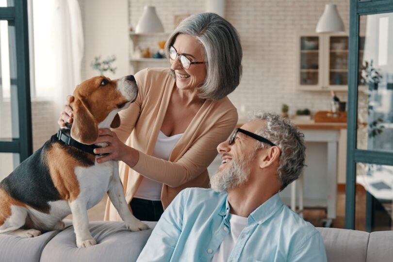 An older couple smiles and spends time with their beagle while relaxing together in their bright, modern home.