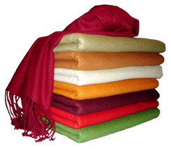 ThePashminaStore1.jpg