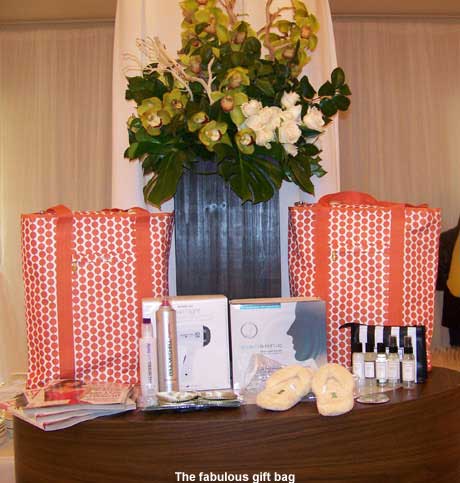 The In Style gift bag